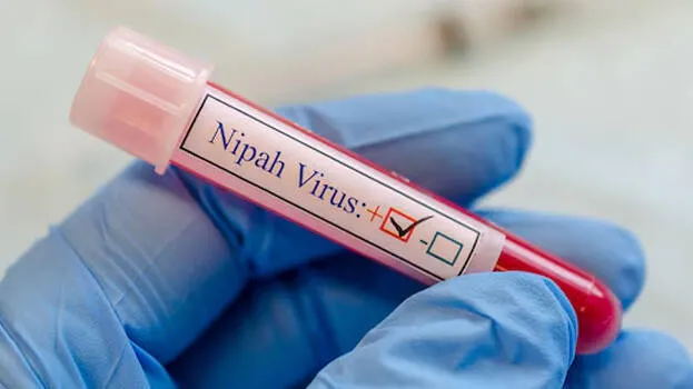nipah
