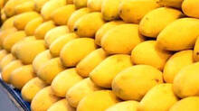 the-trick-behind-the-yellow-color-in-mango