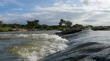 mysore-law-student-survives-river-death-attempt