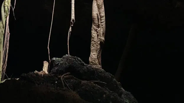 cave