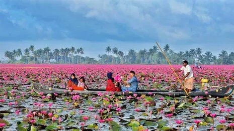 malarikkal