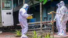 central-team-to-visit-kerala-soon-to-assess-nipah-situation