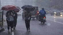 rain-update-in-kerala-yellow-alert-announced-in-various-districts-