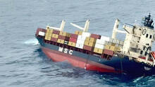 msc-elsa-3