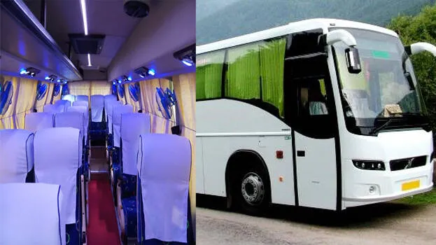 bus