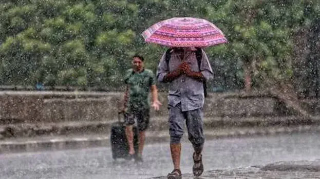 rain