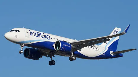 indigo