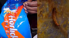 worm-found-in-horlicks-packet-in-kozhikode