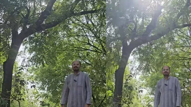 haunted-tree