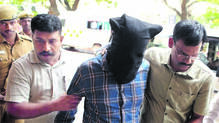 arrest