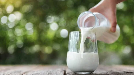 milk