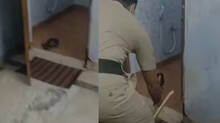 snake-found-in-pariyaram-medical-college-cardiology-department
