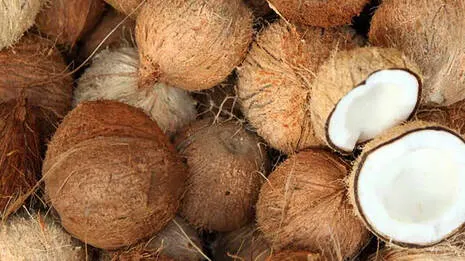coconut