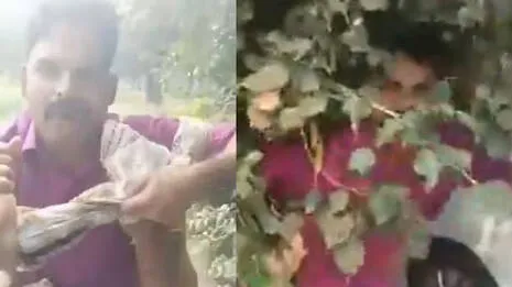 rahul-balmiki