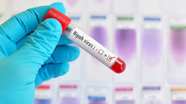 nipah