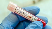 nipah---todays--update