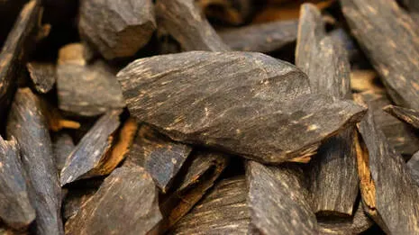 agarwood