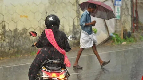 rain