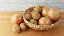 potato