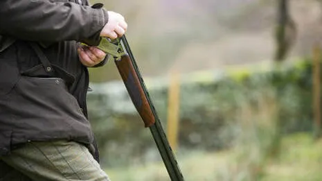 gun
