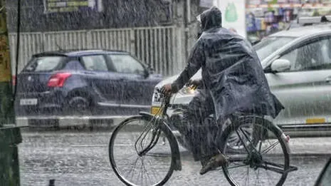 rain