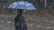 rain-will-hit-at-all-districts-in-kerala-soon