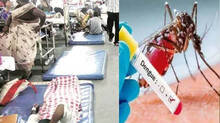 dengue