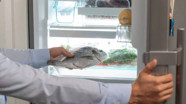 fish