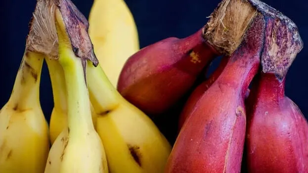banana
