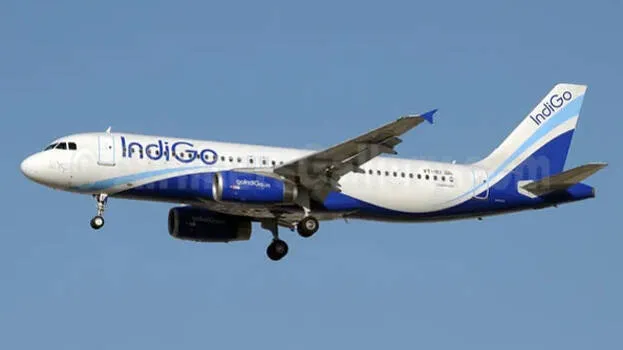 indigo