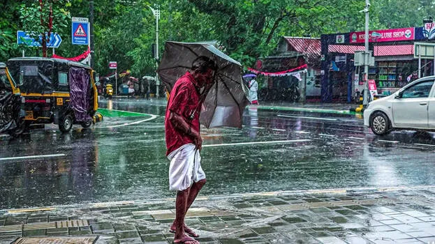 rain-alert