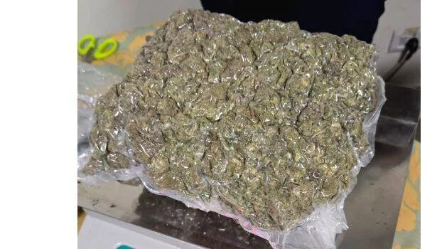 ganja