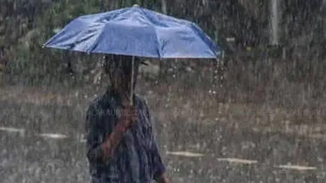 rain-alert