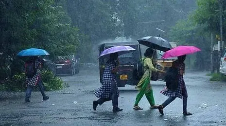rain