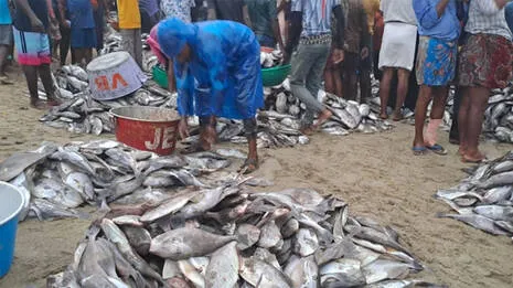 vizhinjam-
