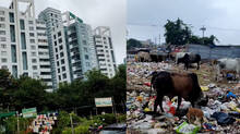 a-retired-soldier-shares-the-garbage--of-a-metropolis