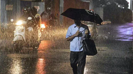rain