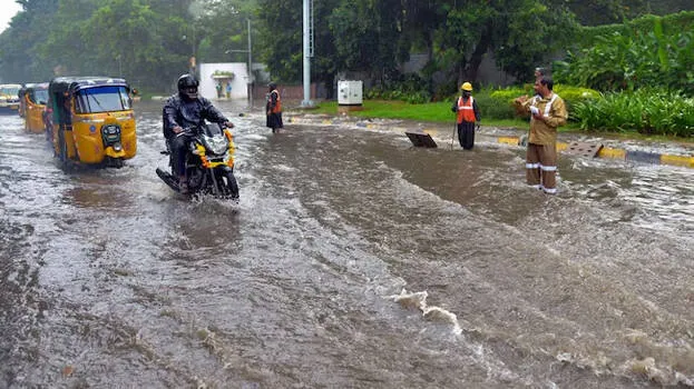 rain-alert