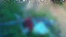 palakkad-electric-shock-death