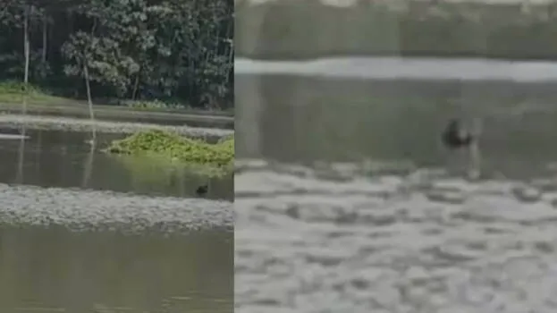 river