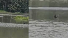 man-died-in-wayanad