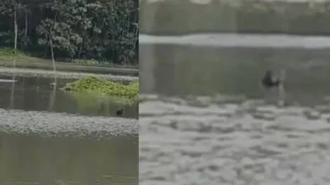 river