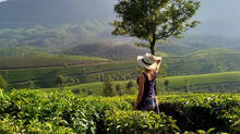 foreigners-and-people-from-other-states-come-for-ayurvedic-treatment-in-kerala