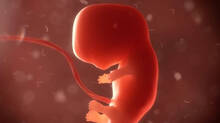 up-womans-foetus-growing-in-liver--not-uterus--is-it-indias-first-intrahepatic-ectopic-pregnancy