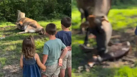 kids