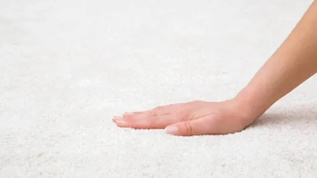 hand