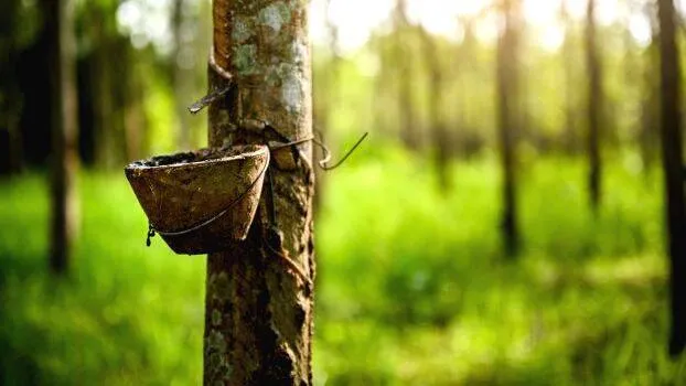 rubber