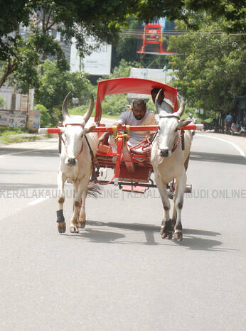 Kerala Kaumudi Photo Gallery