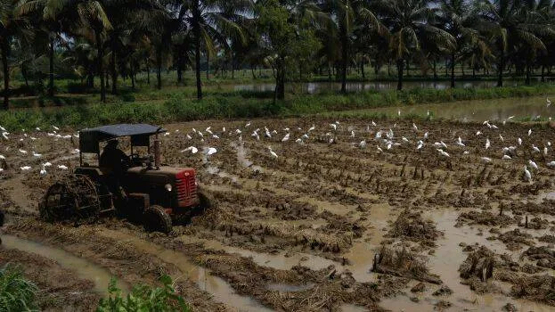 agri
