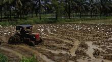 agri